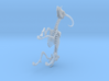 Yale Skeleton 3d printed 