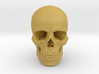 25mm 1in Human Skull Crane Schädel че́реп 3d printed 