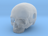 20mm .8in Keychain Bead Human Skull 3d printed 