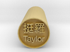 Taylor Hanko Japanese Kanji backward Stamp   3d printed 