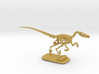  Dinosaurs Story Velociraptor Skeleton Full Color  3d printed 