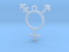 Transgender Pendant 3d printed 