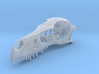 1:1 Velociraptor mongoliensis Skull 3d printed 