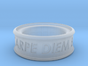 Carpe Diem Ring 5 Inch Diameter 3d printed 