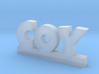 COY Lucky 3d printed 