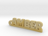 AMBER Keychain Lucky 3d printed 