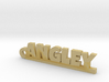 ANGLEY Keychain Lucky 3d printed 