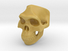 Lucy Skull Ring size 12 3d printed 