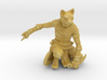 Tabaxi Rogue (Male) 3d printed 