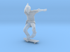 Skater (Plastic) 3d printed 