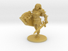 Human Female Fighter/Paladin 3d printed 