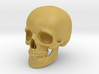 Skull For your desktop 3d printed 