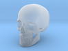 Skull For your desktop 3d printed 