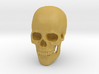 Full-Color 1:6 Scale Human Skull 3d printed 