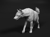 Spotted Hyena 1:20 Walking Female 2 3d printed 