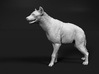 Spotted Hyena 1:72 Standing Male 3d printed 