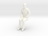 The Monkees - Michael Seated 3d printed 