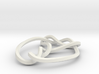 mobius 7_3 knot 360 degree twist 3d printed 