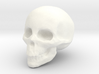 small skull hollow 3d printed 