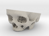Skull Base from Real CT Scan Data, Full Size 3d printed 