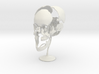 Beauchene Skull 3d printed 