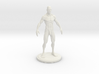 Idealized Male Ecorche Simplified V2 3d printed 