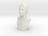 Emiliano Zapata Bust 3d printed 