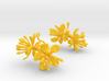 Earrings with two large flowers of the Raspberry 3d printed 