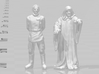 sw Tarkin HO scale 20mm miniature model figure rpg 3d printed 