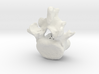 L5 lumbar vertebral body 3d printed 
