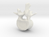 L2 lumbar vertebral body 3d printed 