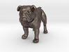 Bulldog S Full Color Sandstone 3d printed 