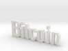 Bitcoin 3D 3d printed 