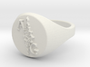 ring -- Wed, 30 Oct 2013 15:45:17 +0100 3d printed 