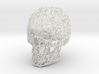 Wireframe Skull Display 3d printed 