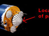 Pioneer Venus 1/20th Probe Large 3d printed Location on spacecraft