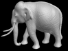 Indian Elephant 3d printed Indian Elephant (side view)