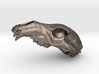 Bear Skull. WT-1. 6cm 3d printed 