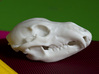Bear Skull. Jointed Jaw. 10cm 3d printed Realistic, anatomically authentic Brown Bear Skull