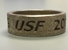 USF Accounting 2014 Ring 3d printed 