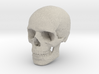 18mm 0.7in Human Skull Crane Schädel че́реп 3d printed 