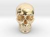 25mm 1in Human Skull Crane Schädel че́реп 3d printed 