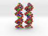 Custom DNA Molecules Ariana + Miriam, Large 3d printed 