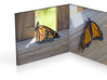 Butterflies 3in 3d printed 