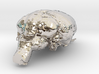 Get a pet mouse brain, real size!  Take it HOME  3d printed 