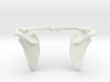 Shoulder Blade & Collar Bone "Winged" Pendant 3d printed 