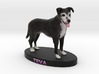 Custom Dog Figurine - Teva 3d printed 