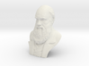 Charles Darwin 6" Bust 3d printed 