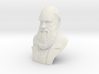Charles Darwin 4"Bust 3d printed 
