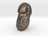 Charles Darwin 15" Life Size Decimated wall mount 3d printed 